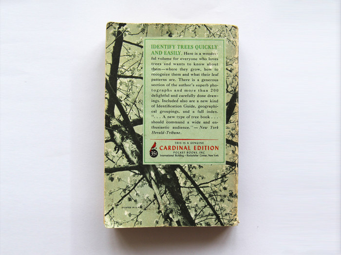 A Pocket Guide To The Trees by Rutherford Platt 6
