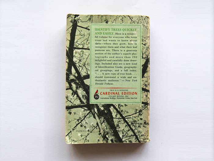 A Pocket Guide to the Trees by Rutherford Platt 6