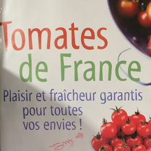 Tomates de France