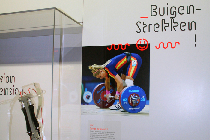 Sport exhibition 10