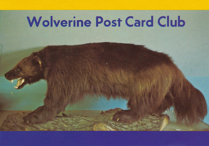 Wolverine Post Card Club postcard
