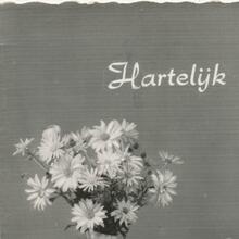 “Hartelijk Gefeliciteerd” greeting card
