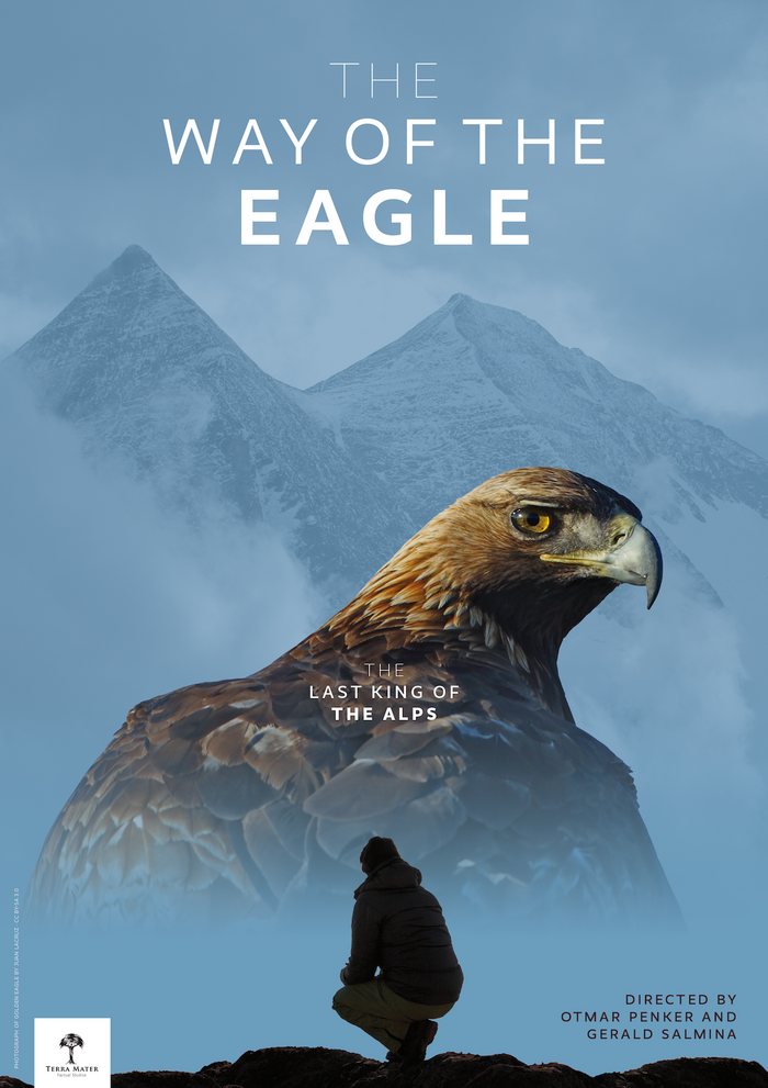 The Way of the Eagle movie poster