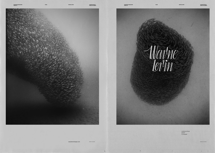 Newwork Magazine, No. 3: “Undersurface Grace in Hawaii”