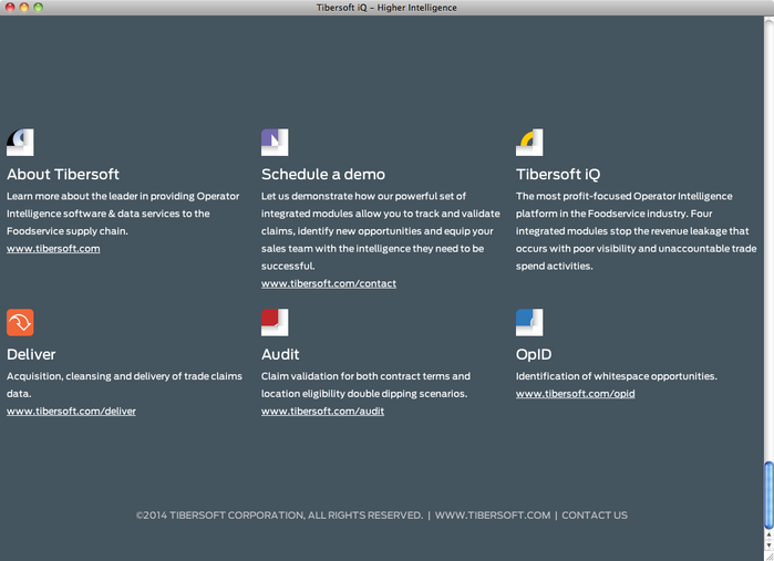 Tibersoft iQ website 3