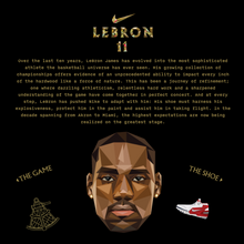 <cite>LeBron 11</cite> website