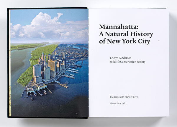 The Mannahatta Project 4