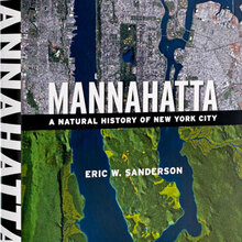 The Mannahatta Project