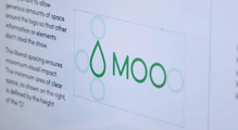 MOO identity and website (2014)