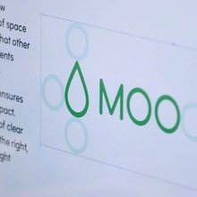MOO identity and website (2014)