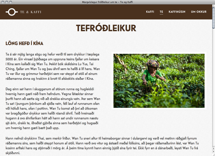 Te & Kaffi website 4