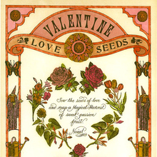 “Valentine Love Seeds” card