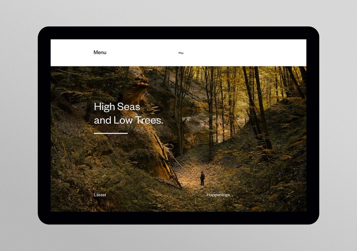 Miles Calder &amp; The Rumours website 4
