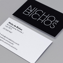 Nicho de Bichos branding