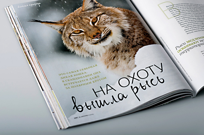 Layout of an opening-spread

Copyright: Кантри. Стиль и образ жизни
Art-direction: Anastasia Grigoryeva