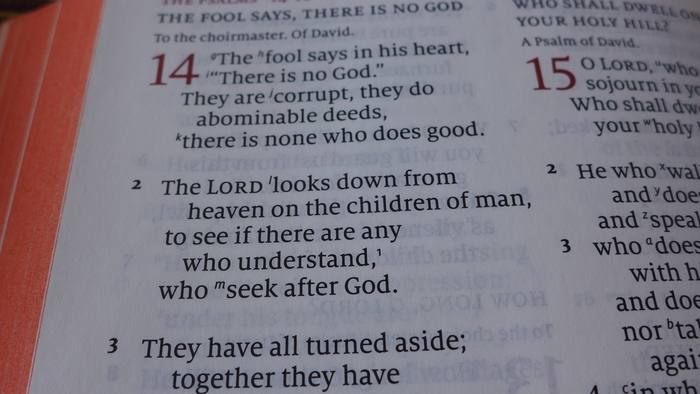 Schuyler Quentel ESV Bible 1