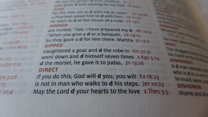 Schuyler Quentel ESV Bible 4
