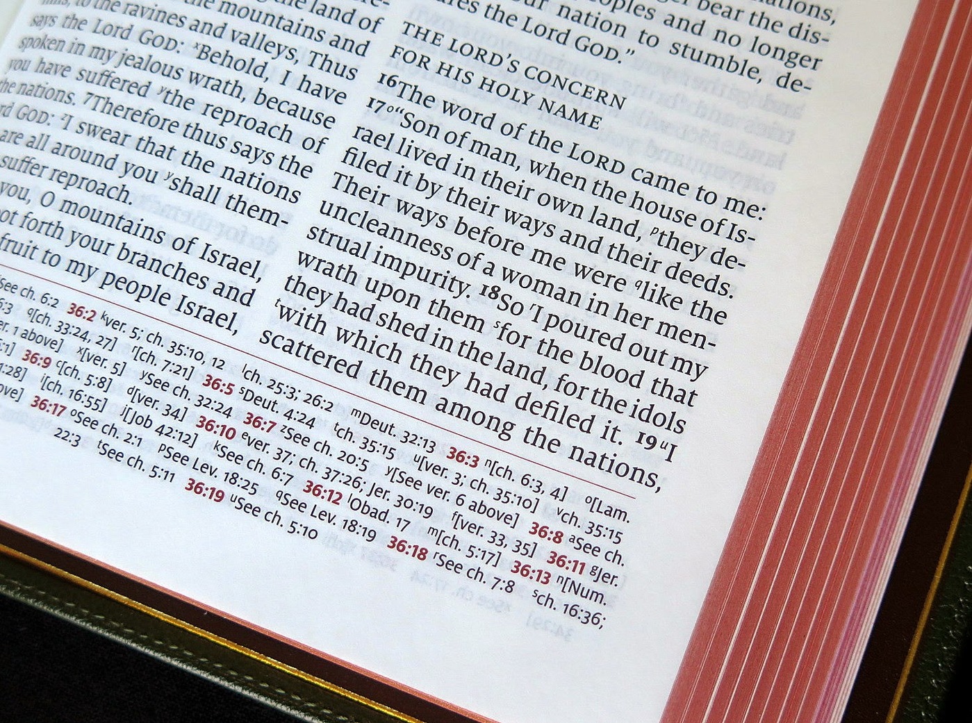 Esv Font Schuyler Quentel ESV Bible - Fonts In Use