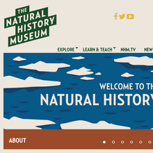 The Natural History Museum website