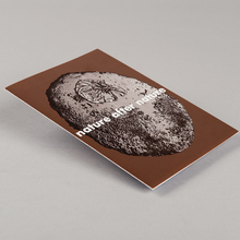 <cite>Nature after nature</cite> exhibition, Fridericianum