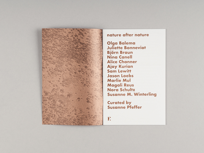 Nature after nature exhibition, Fridericianum 6