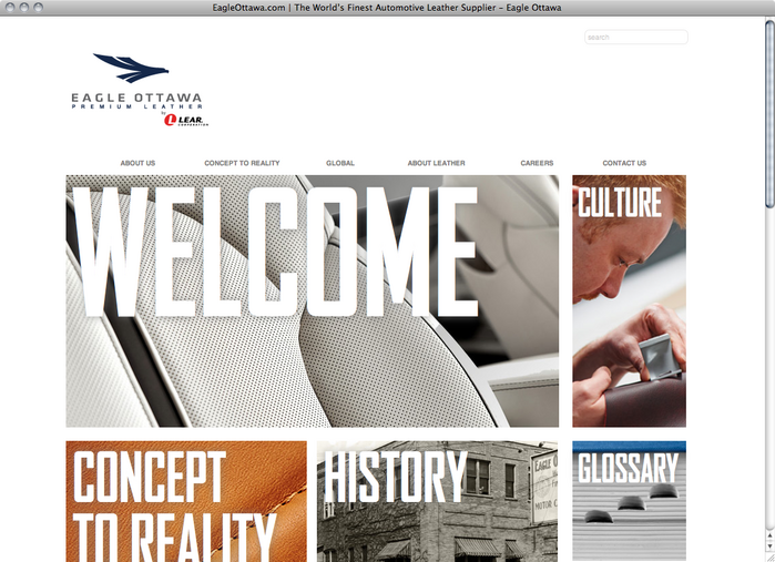 Eagle Ottawa website 1
