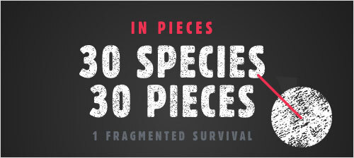 In an&nbsp;article on&nbsp;Smashing Magazine, James describes how he achieved the textured/weathered effect applied to the type via CSS.
