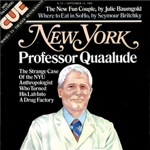 <cite>New York</cite> magazine (1980–81)