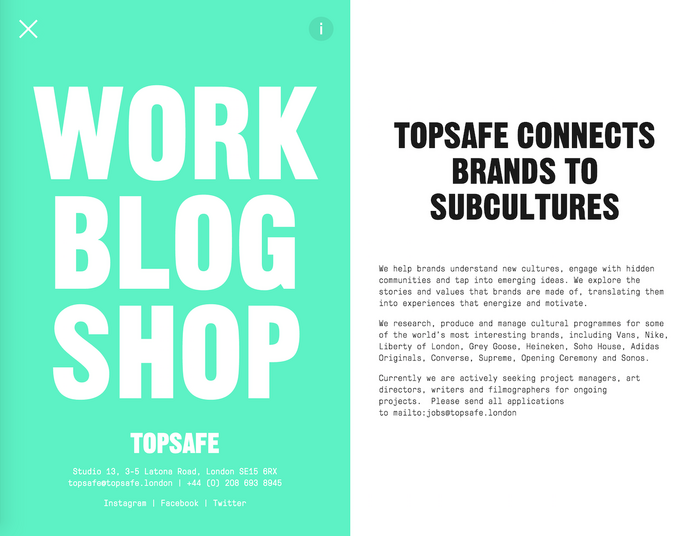 Topsafe identity and website 5