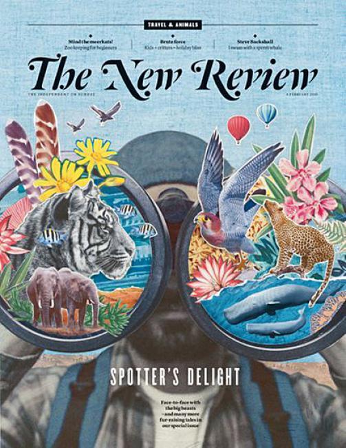 The New Review 6