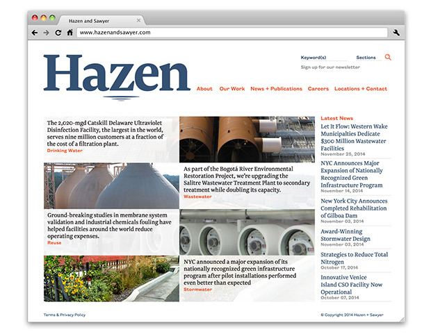 Website homepage