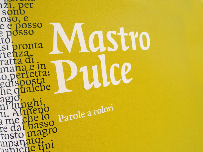 Mastro Pulce magazine 3