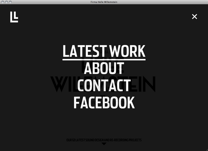 Helle Willemstein website 2