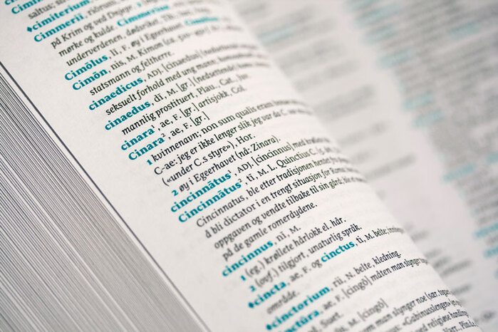 Latin-Norwegian dictionary (Cappelen Damm) 6