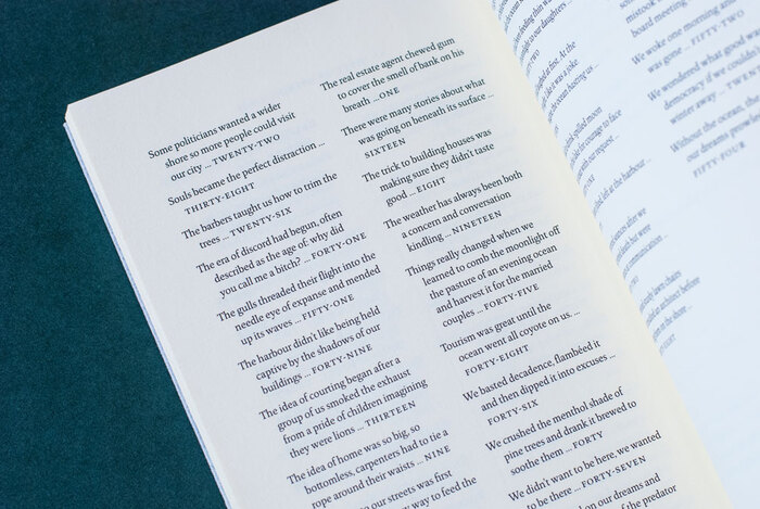 Ocean by Sue Goyette 4