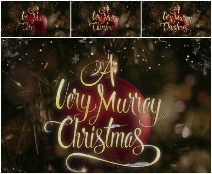 Main title animation by Brand New School. I assume this is custom lettering, not a font.