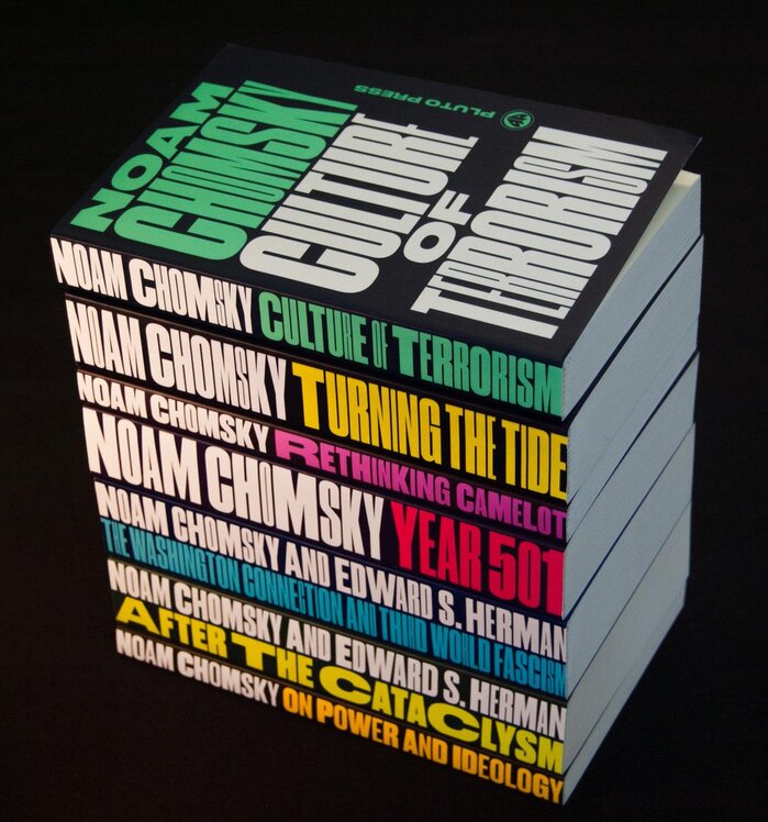 Chomsky Perspectives book series 1