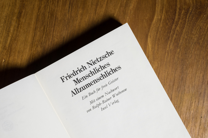 Menschliches, Allzumenschliches by Nietzsche 2