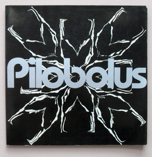 <cite>Pilobolus</cite>