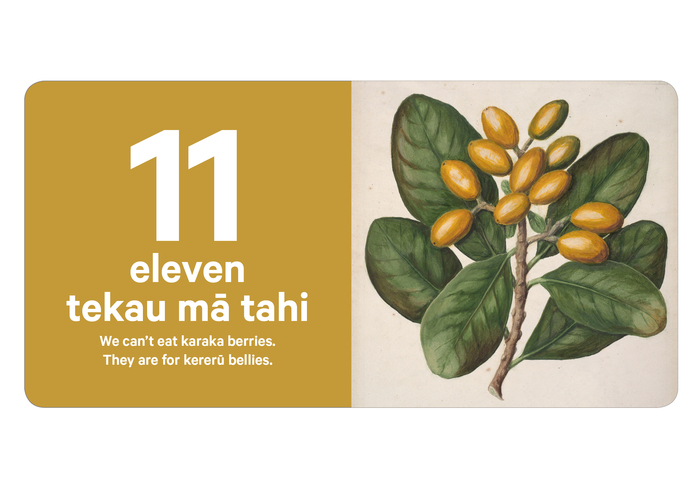 Children’s book series, Museum of New Zealand Te&nbsp;Papa Tongarewa 2