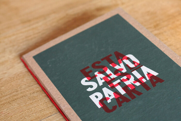 Salvo Patria 1