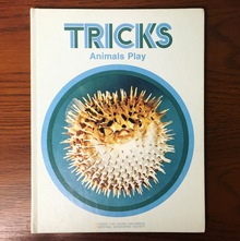 <cite>Tricks Animals Play</cite>