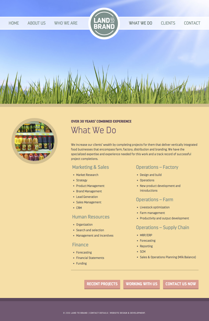 Land to Brand website 1