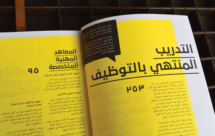 Community Jameel Annual Report 2013 3