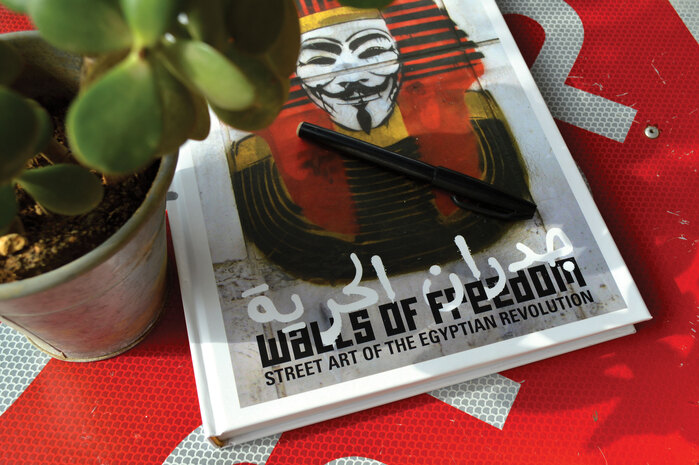 Walls of Freedom book cover 1