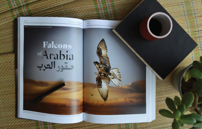 Shawati’ Magazine 15