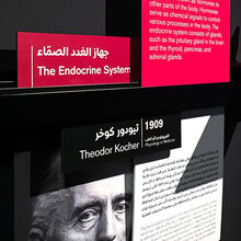 <cite>Exploring Life – The Nobel Prize in Physiology or Medicine</cite>