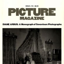 <cite>Picture Magazine</cite> (1976–81)