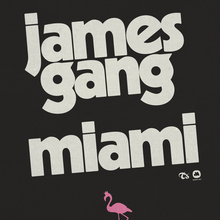 James Gang Miami T-shirt