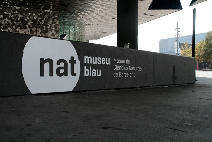 Museu Blau 2